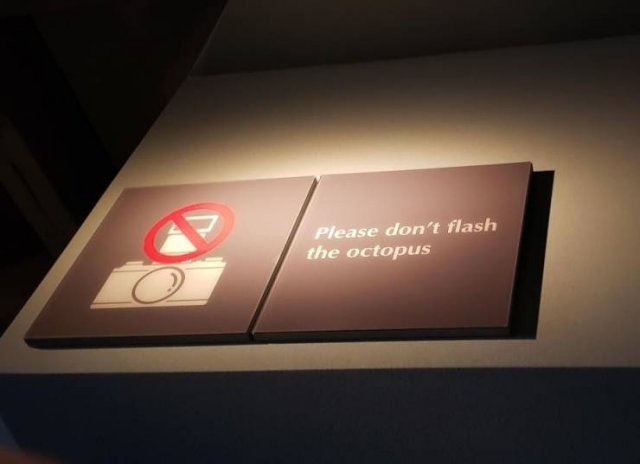 Acid Picdump 1 (93 pics)