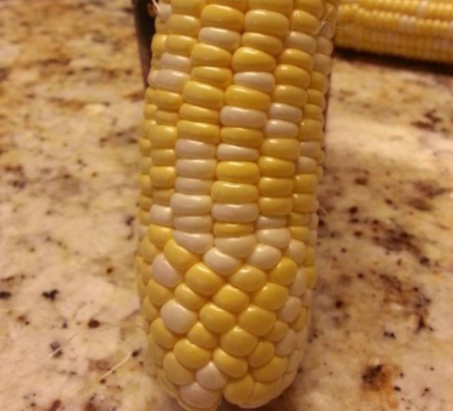 It's Beautiful (54 pics)