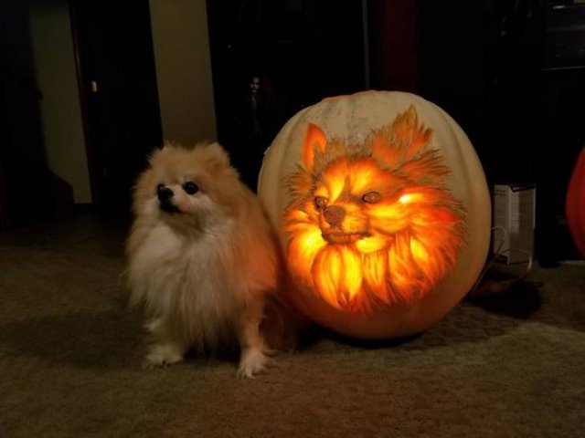 Pumpkin Carving Art (47 pics)
