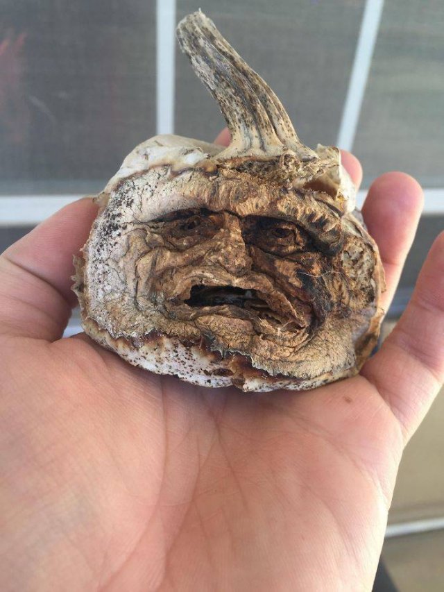 Pumpkin Carving Art (47 pics)