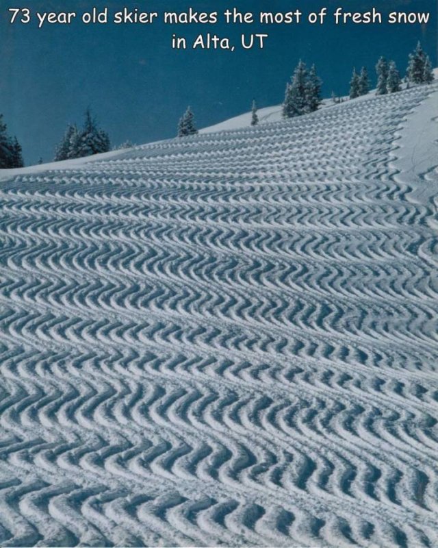 Acid Picdump 1 (51 pics)