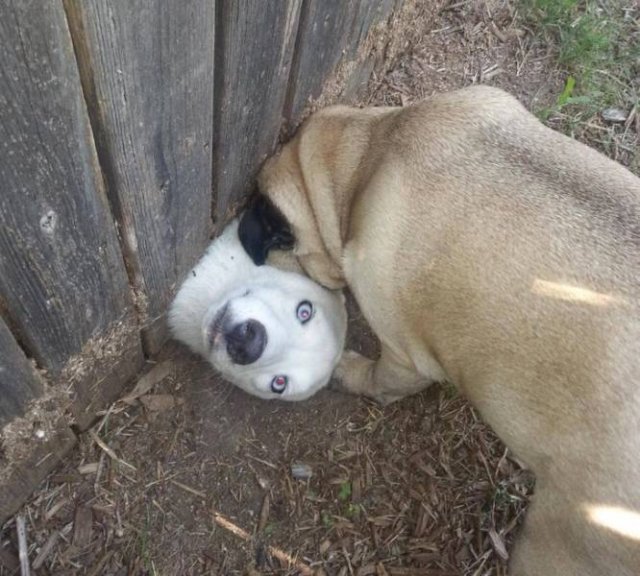 It's Beautiful (54 pics)