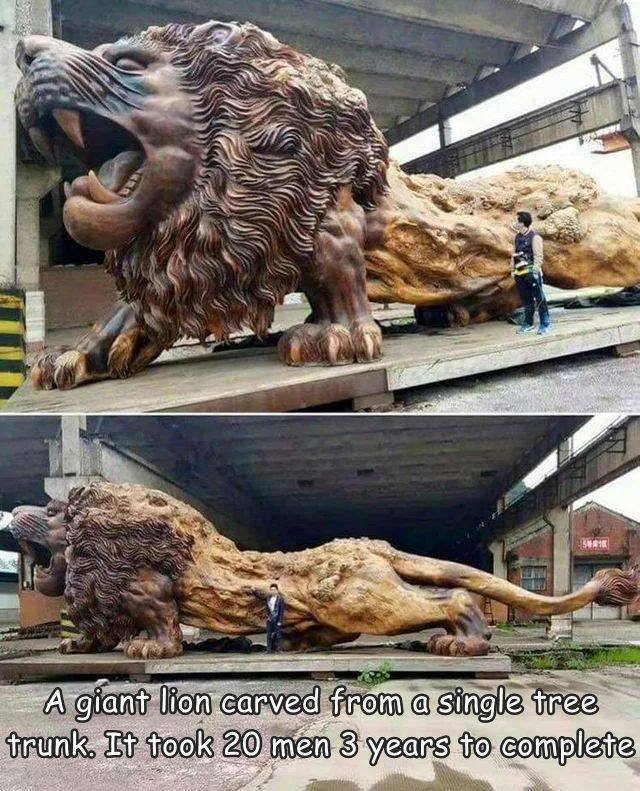 Acid Picdump 1 (51 pics)