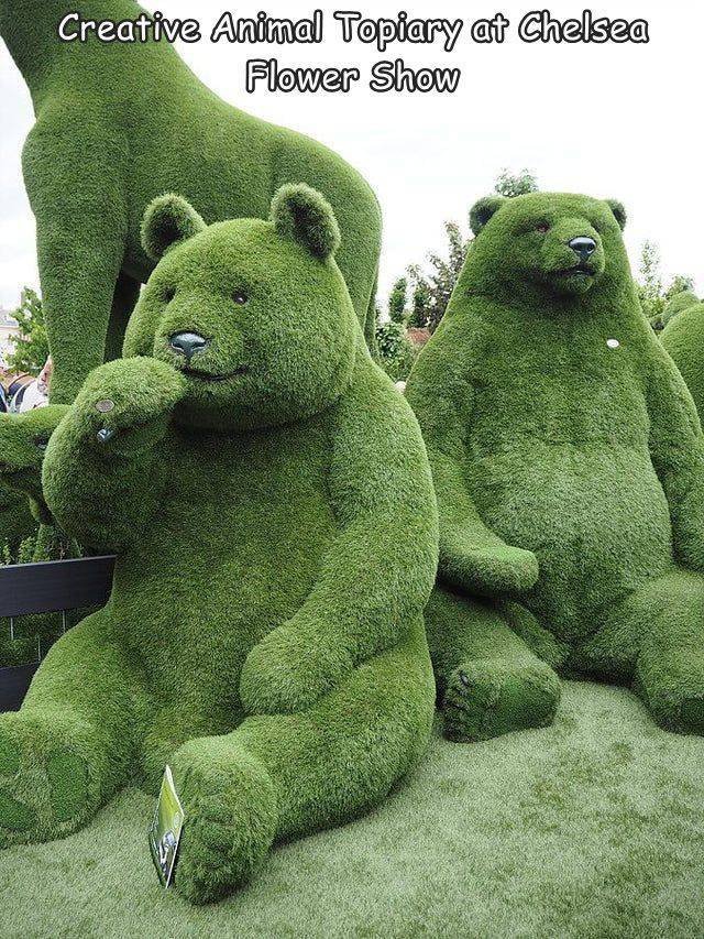 Acid Picdump 1 (51 pics)