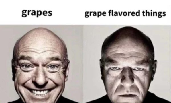 Food Memes (30 pics)