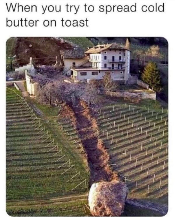 Food Memes (30 pics)