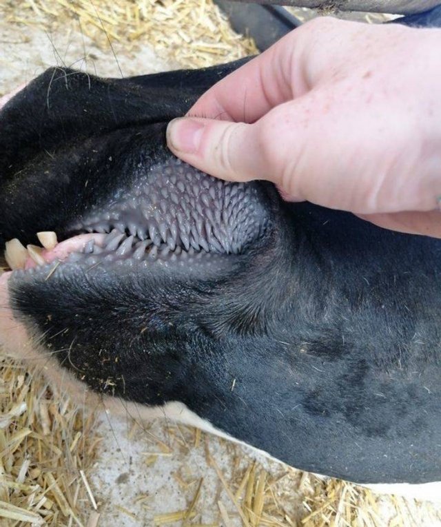 Common Things Secrets (18 pics) Common Things Secrets (18 pics)