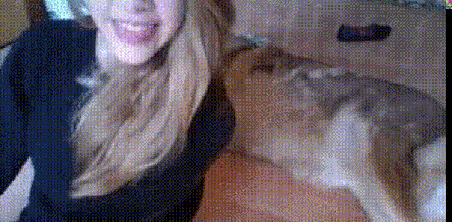 Acid Gifdump, October 19 (25 gifs)
