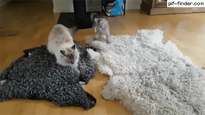 Acid Gifdump, October 19 (25 gifs)