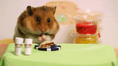 Acid Gifdump, October 19 (25 gifs)