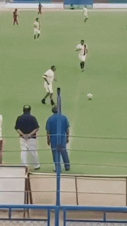 Acid Gifdump, October 19 (25 gifs)