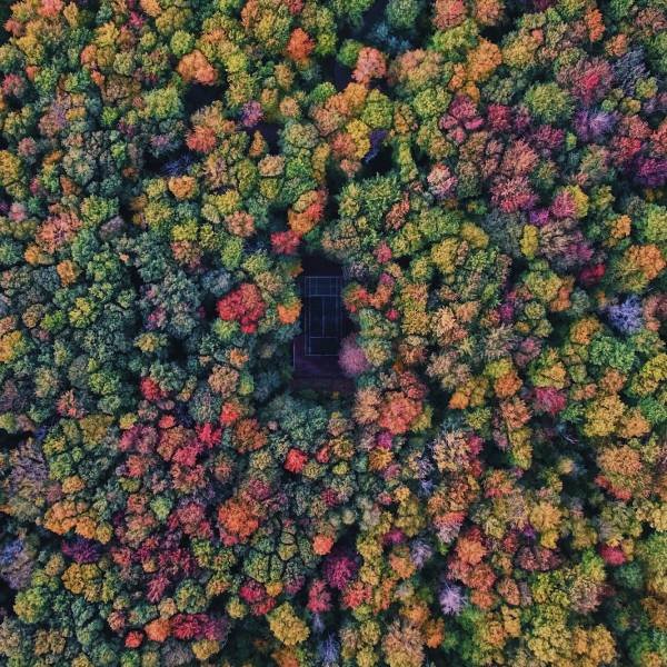 Acid Picdump 2 (85 pics)