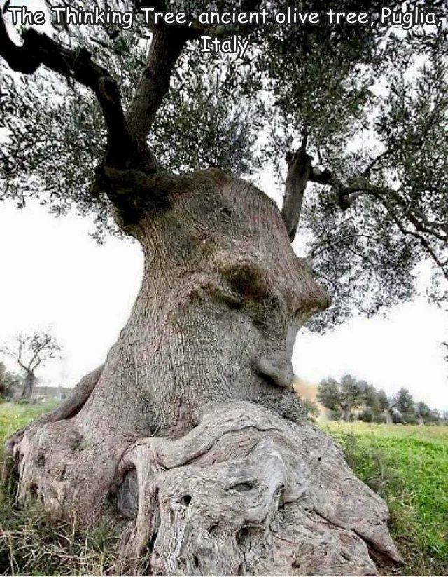 Acid Picdump 2 (85 pics)