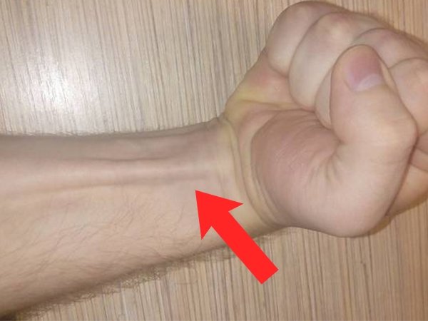 Human Body Facts (30 pics)