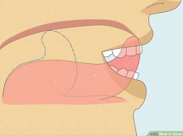Human Body Facts (30 pics)
