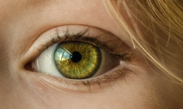 Human Body Facts (30 pics)