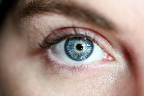 Human Body Facts (30 pics)