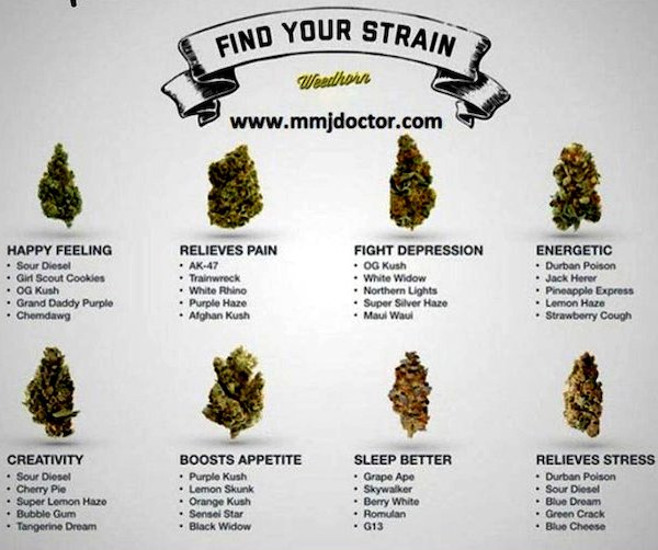 Interesting Data (24 pics)