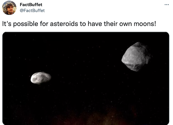 Intriguing Facts (31 pics)