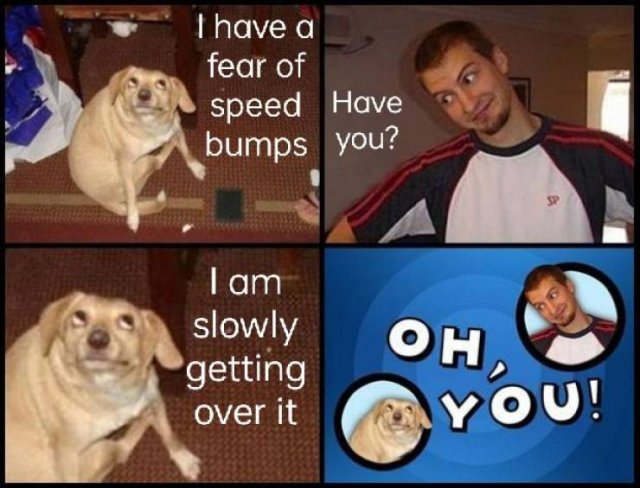 Acid Picdump 2 (85 pics)