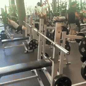 Acid Gifdump, October 20 (25 gifs)