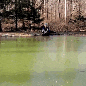 Acid Gifdump, October 20 (25 gifs)