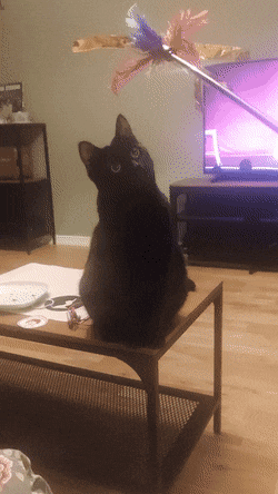 Acid Gifdump, October 20 (25 gifs)