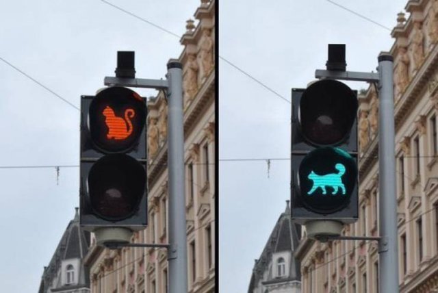 Acid Picdump 2 (89 pics)