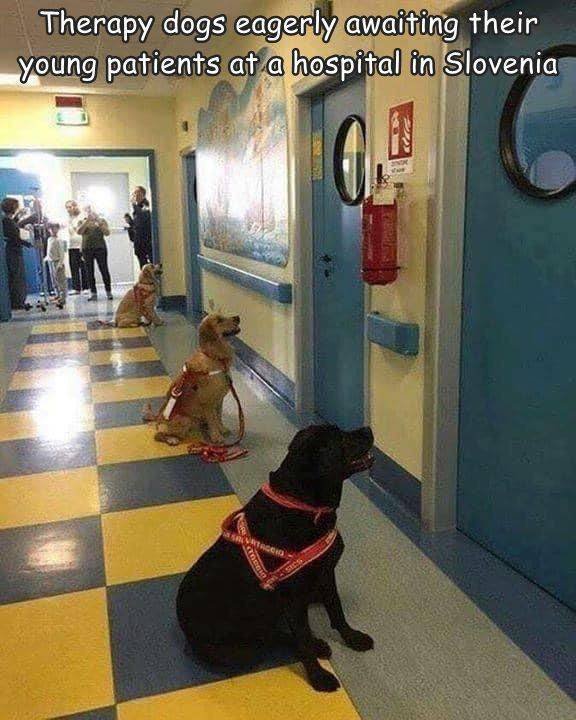 Acid Picdump 2 (89 pics)