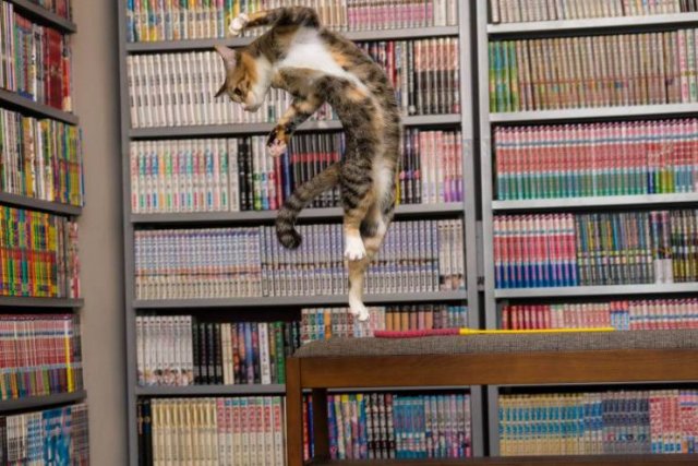 Acid Picdump 2 (89 pics)