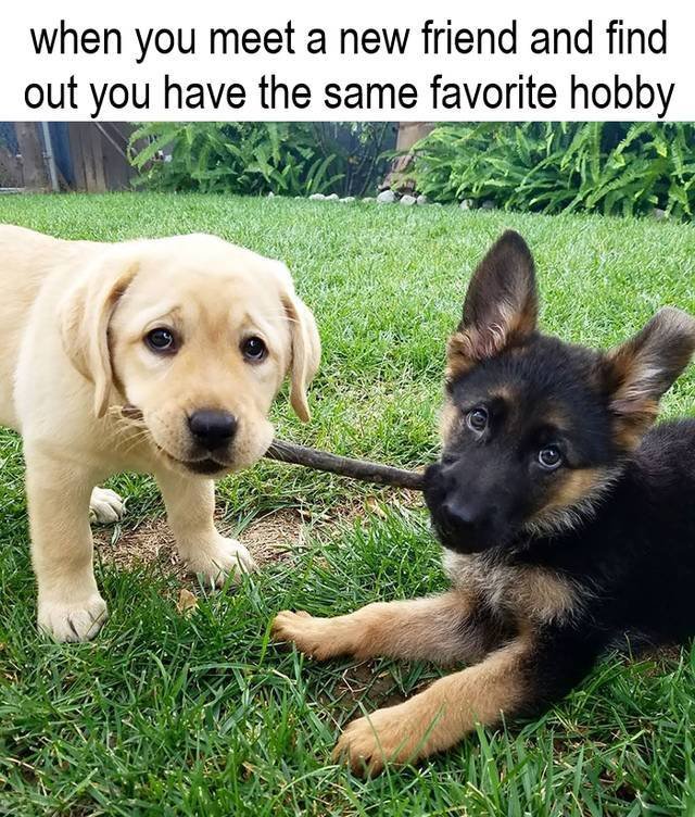 Wholesome Memes (45 pics)