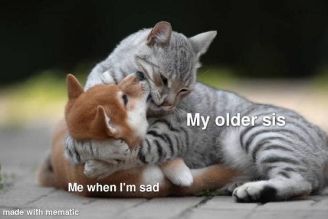 Wholesome Memes (45 pics)