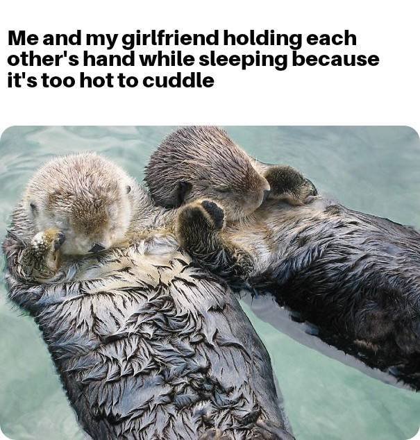 Wholesome Memes (45 pics)
