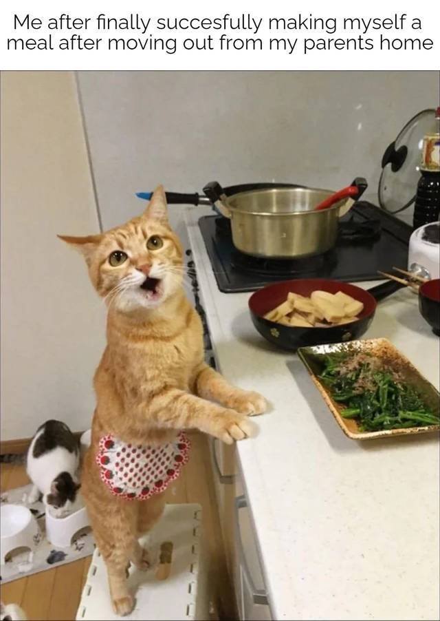 Wholesome Memes (45 pics)