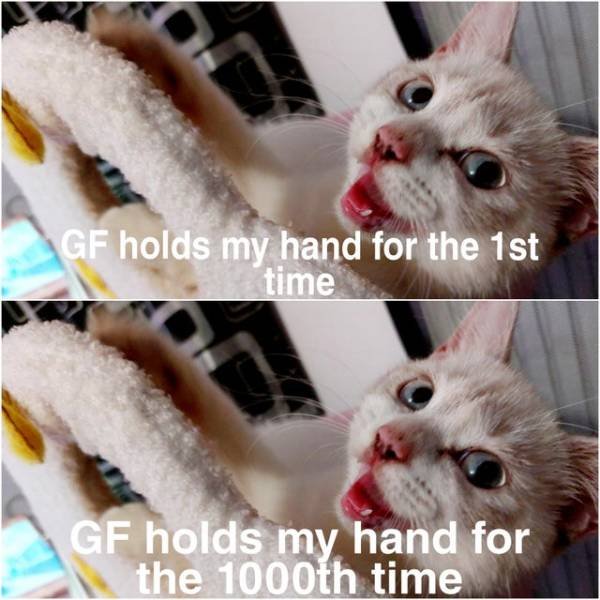Wholesome Memes (45 pics)