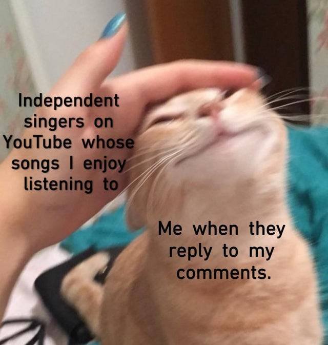 Wholesome Memes (45 pics)