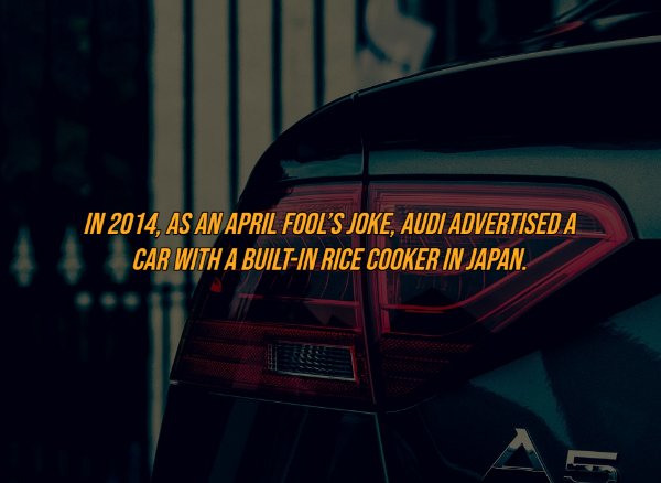 Intriguing Facts (19 pics)