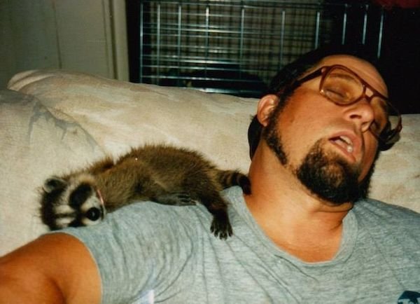 Funny Animals (60 pics)