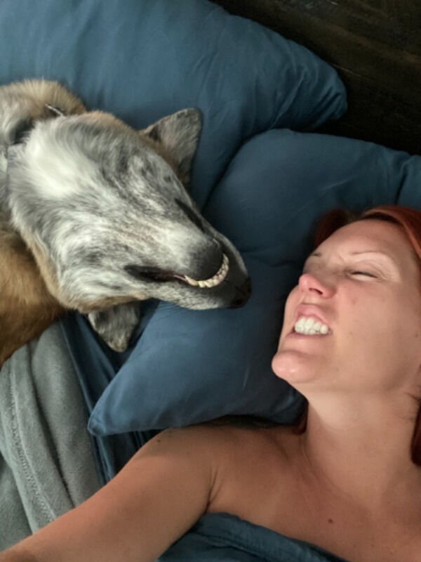 Funny Animals (60 pics)