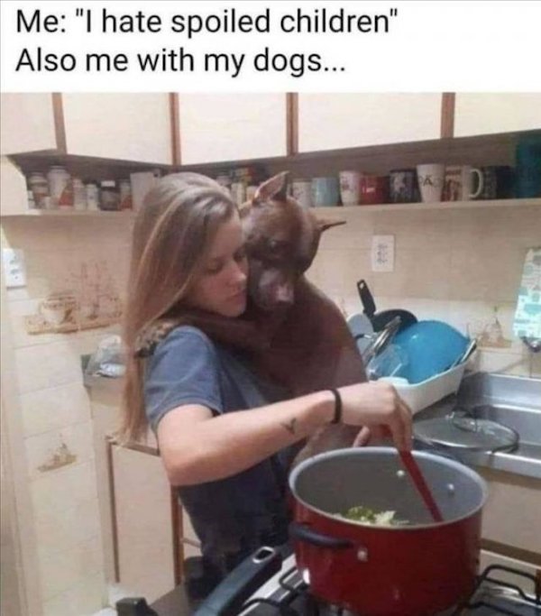 Funny Animals (60 pics)