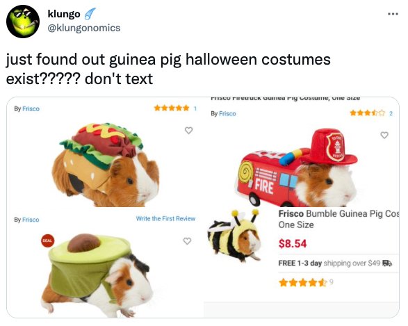 Halloween Costume Tweets (26 pics)