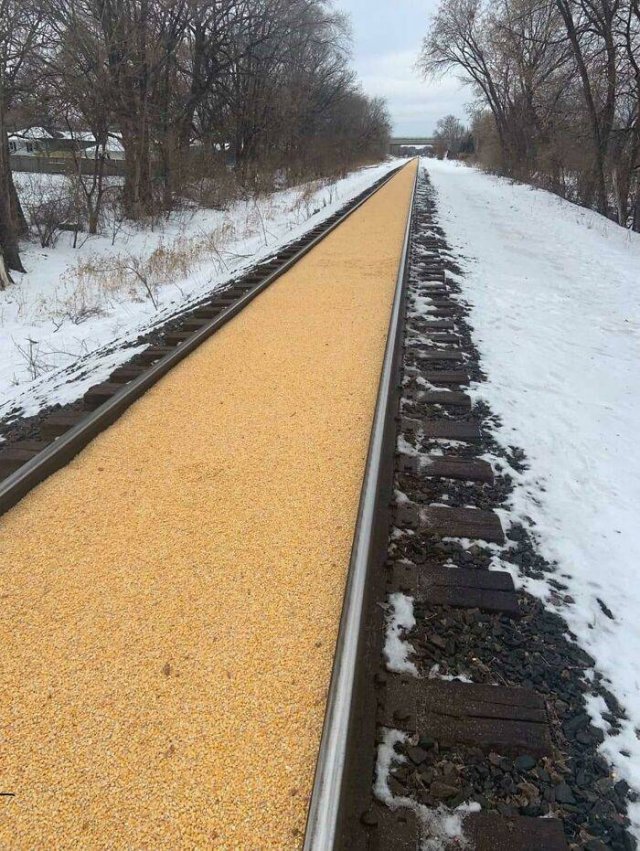 Accidental Surrealism (50 pics) Accidental Surrealism (50 pics)