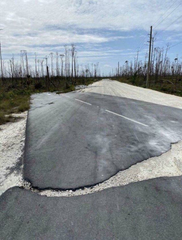Accidental Surrealism (50 pics) Accidental Surrealism (50 pics)