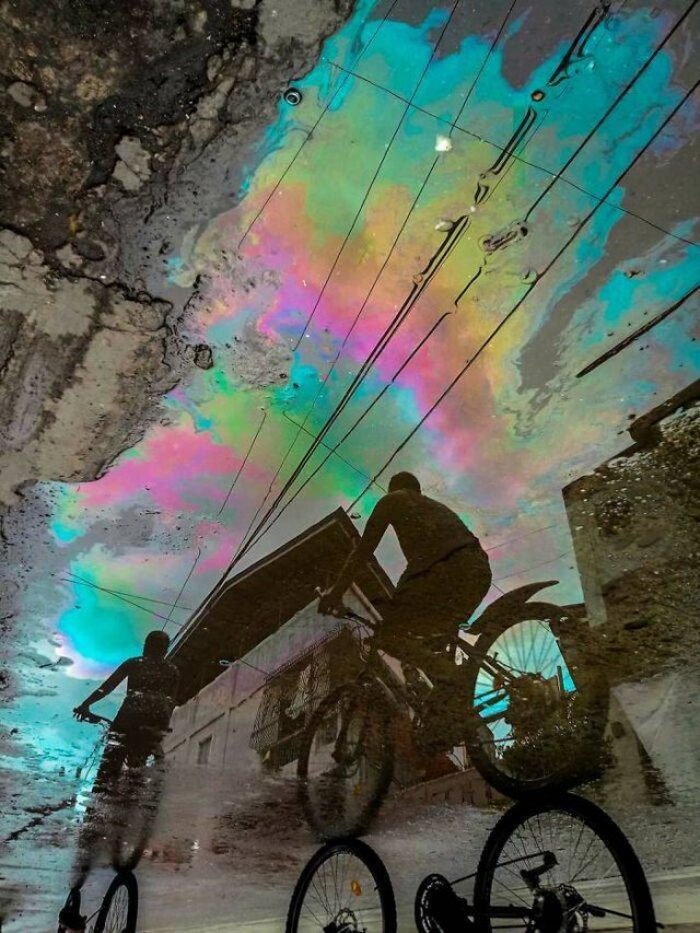 Accidental Surrealism (50 pics) Accidental Surrealism (50 pics)