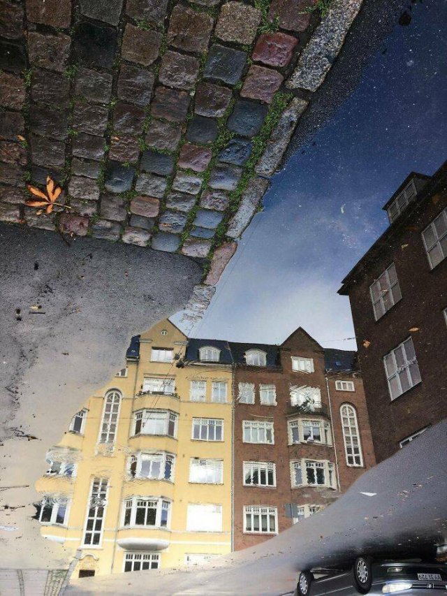 Accidental Surrealism (50 pics) Accidental Surrealism (50 pics)