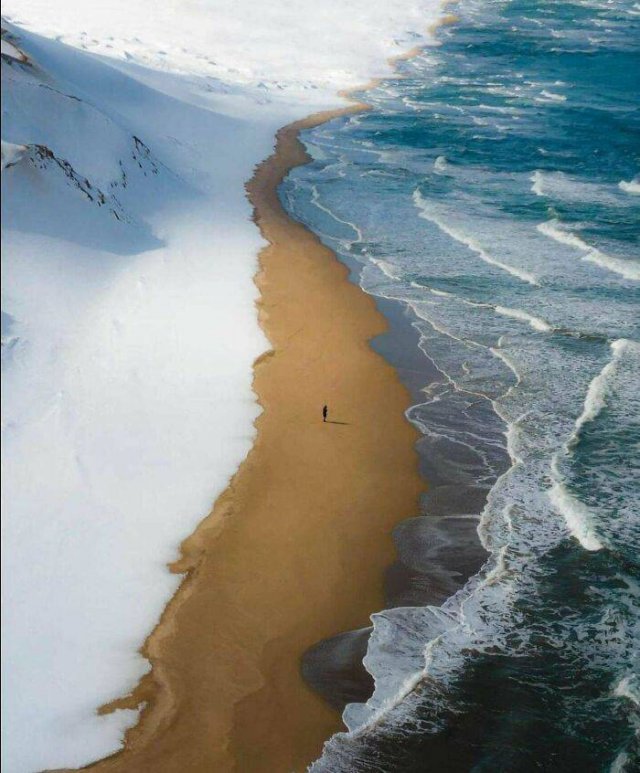 Accidental Surrealism (50 pics)