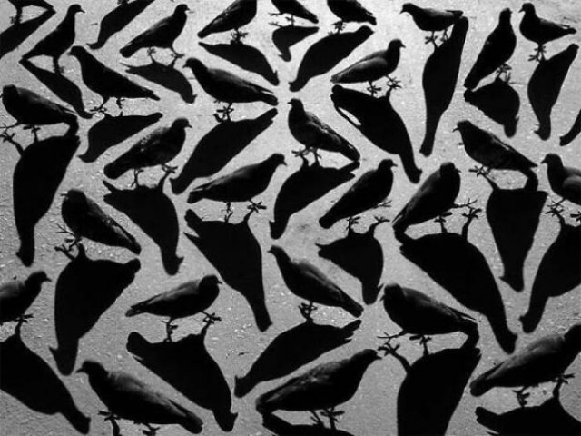 Accidental Surrealism (50 pics) Accidental Surrealism (50 pics)