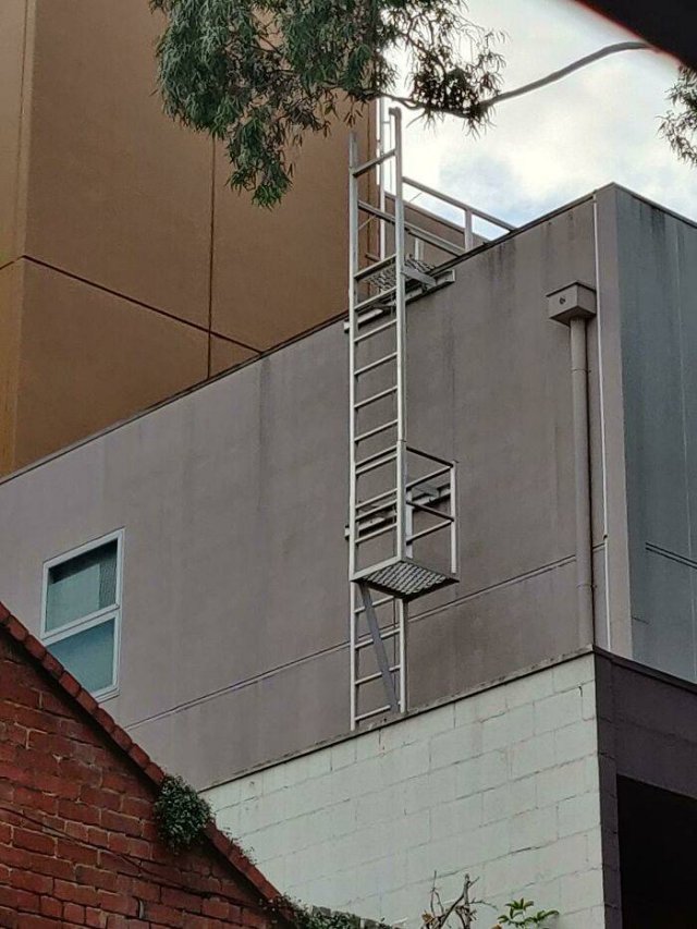 Accidental Surrealism (50 pics)