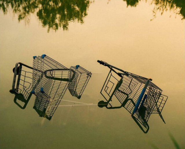 Accidental Surrealism (50 pics)
