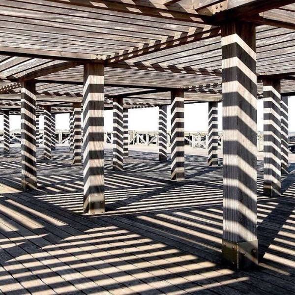 Accidental Surrealism (50 pics) Accidental Surrealism (50 pics)